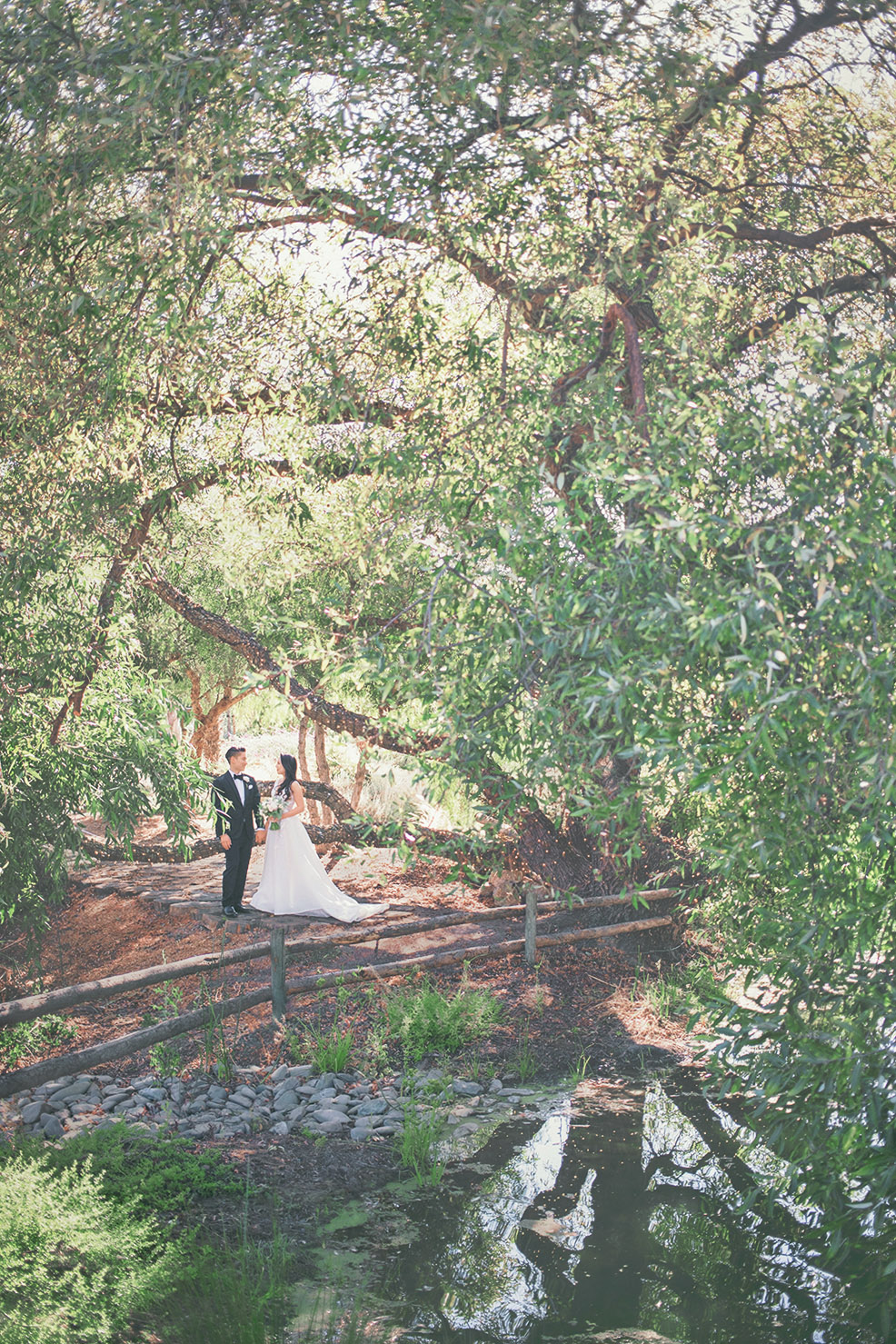 Bride and Groom on Wedding Day