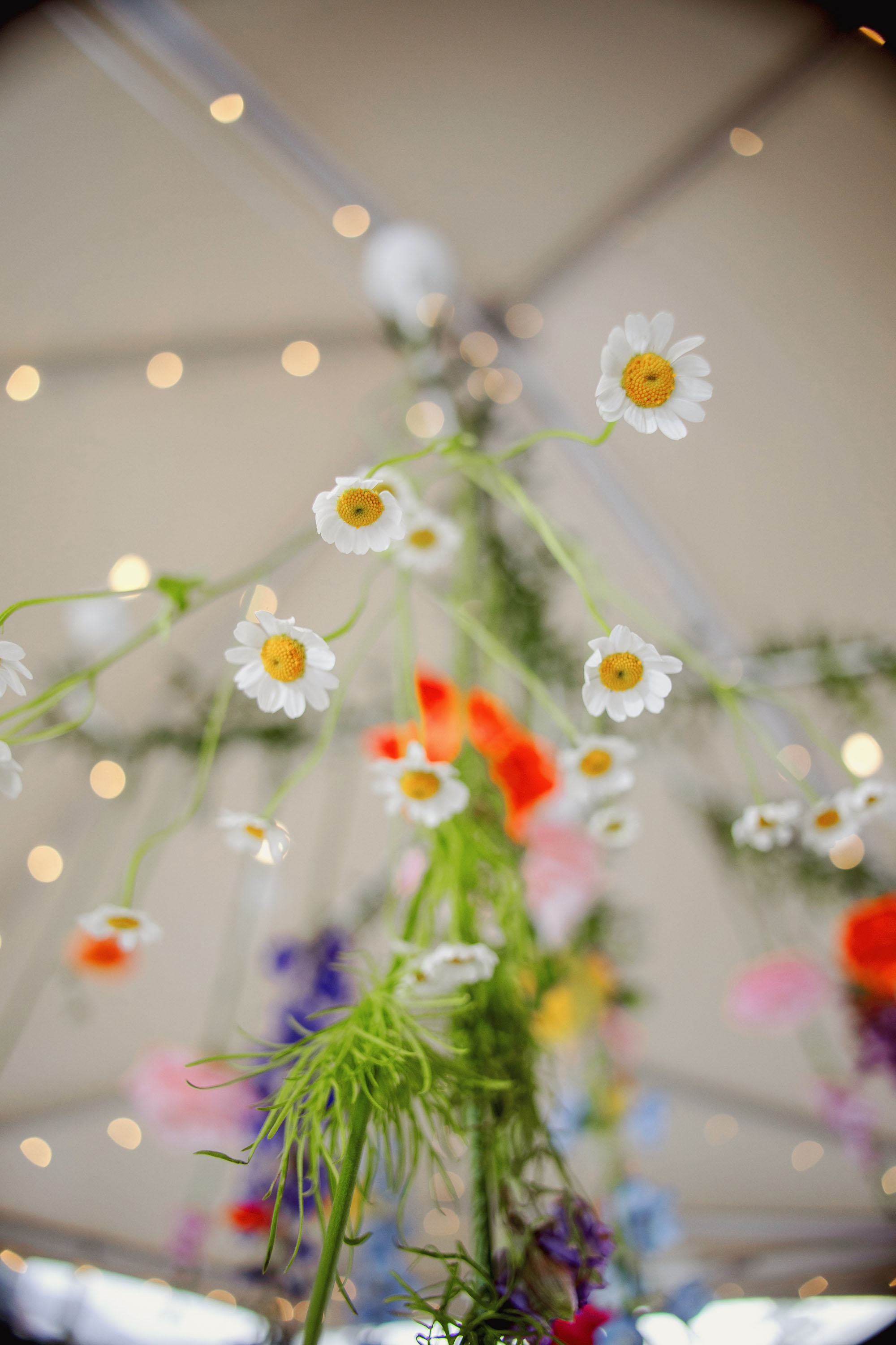 Wedding florals hanging above the table settings in the reception space. Credit: Love Knot Photography by Isaac Klotz
