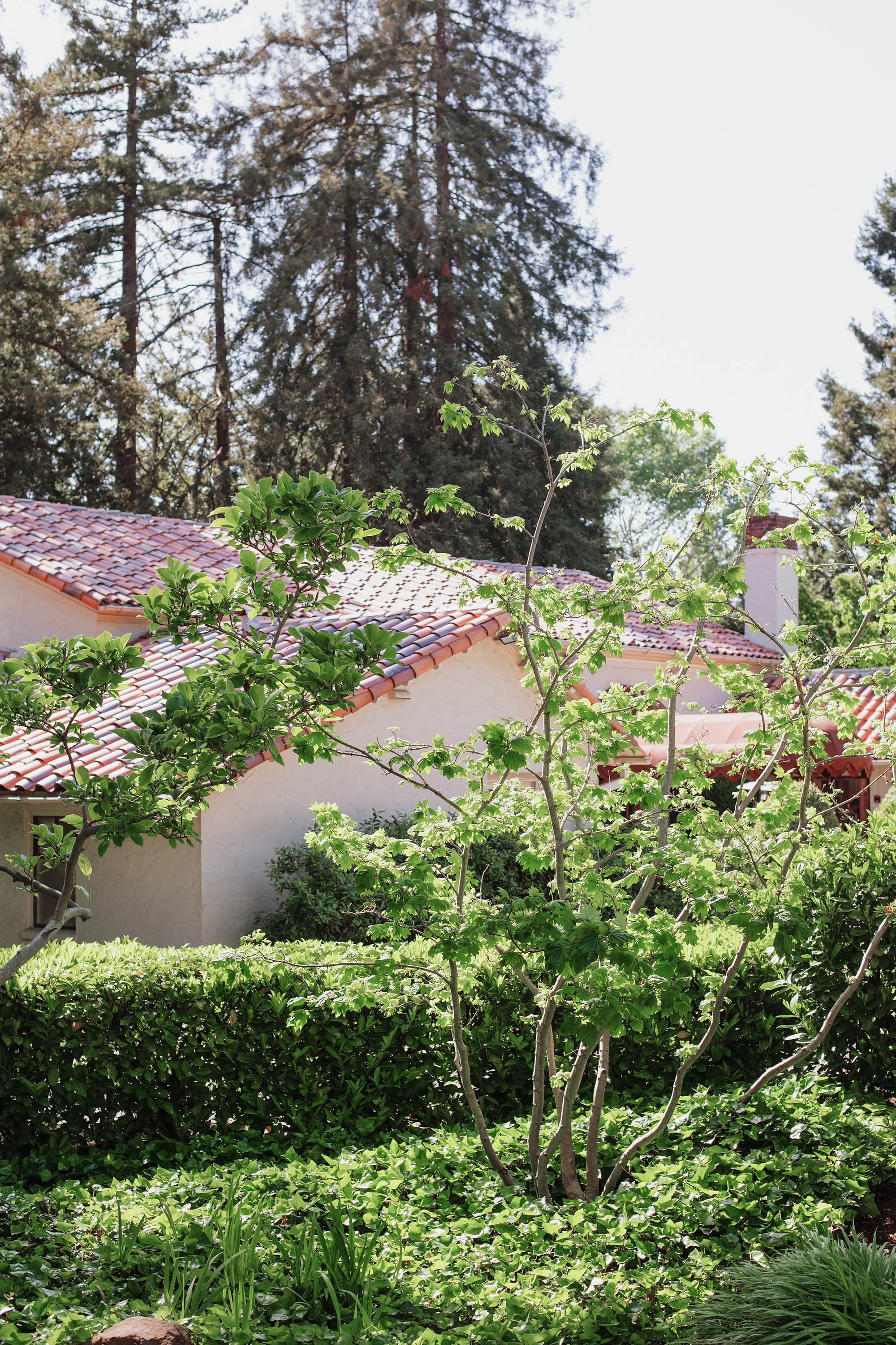 detail photo of wedding reception venue in Piedmont, California