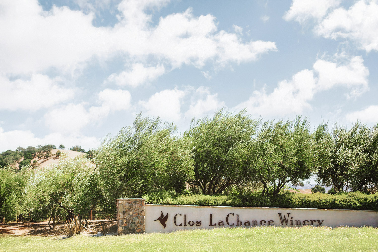 Winery wedding in California