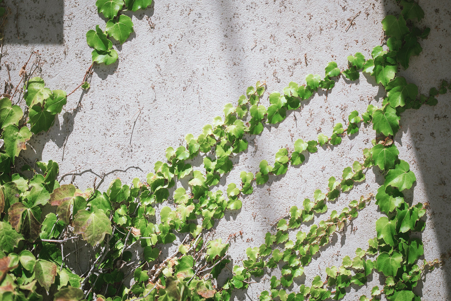textures outside the winery
