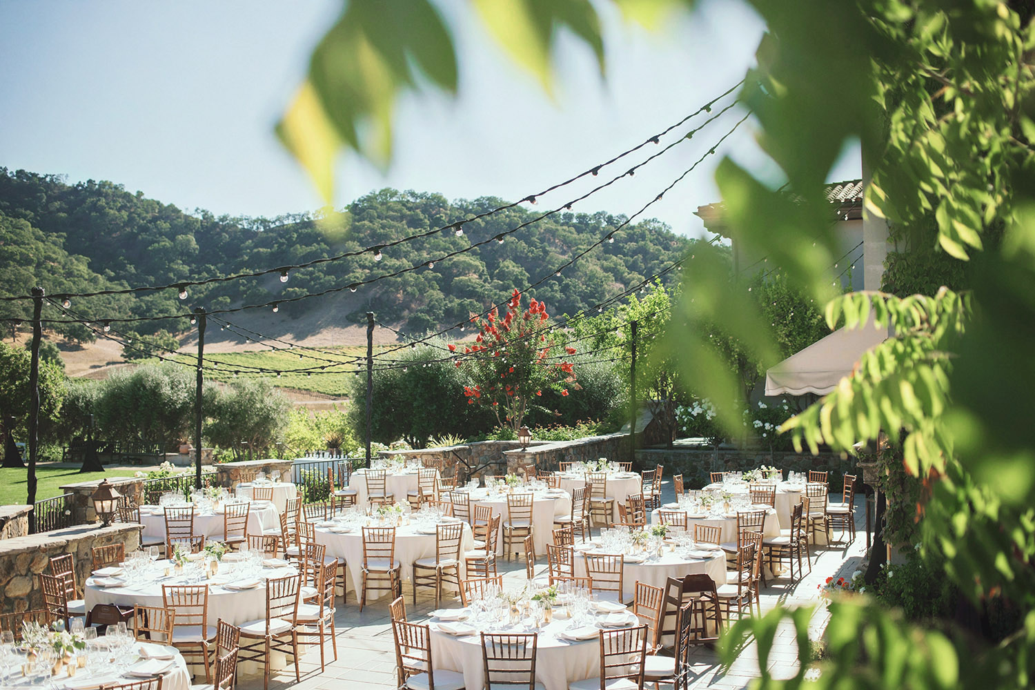 Winery Wedding Reception Setup